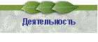Деятельность