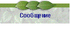 Сообщение