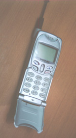 f11.jpg (19311 bytes)